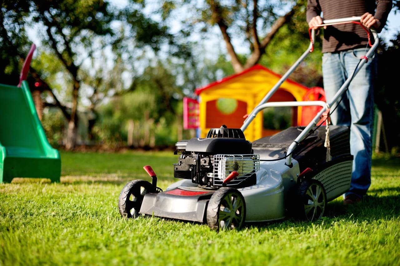 LawnPro – Gardening & Landscaping Divi Child Theme Image 29 LawnPro – Gardening & Landscaping Divi Child Theme Image 29