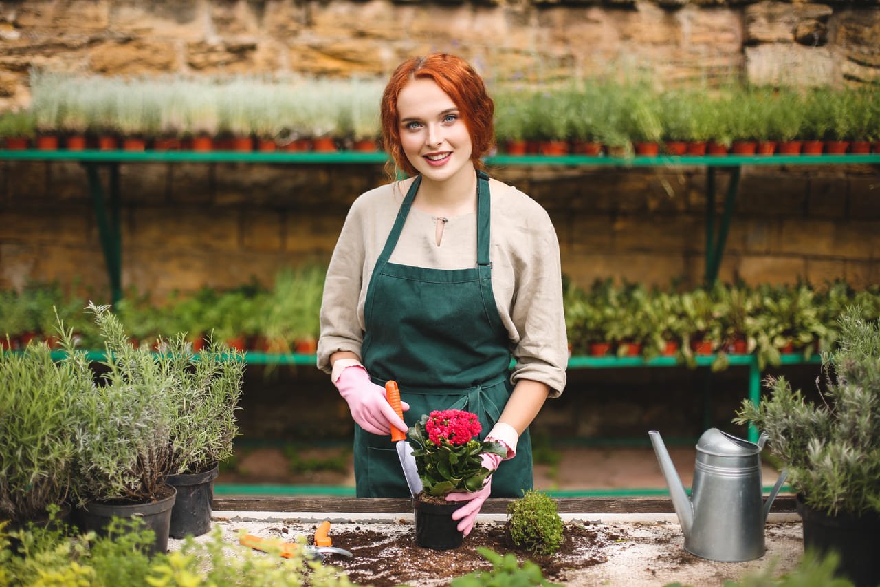 LawnPro – Gardening & Landscaping Divi Child Theme Image 38 LawnPro – Gardening & Landscaping Divi Child Theme Image 38