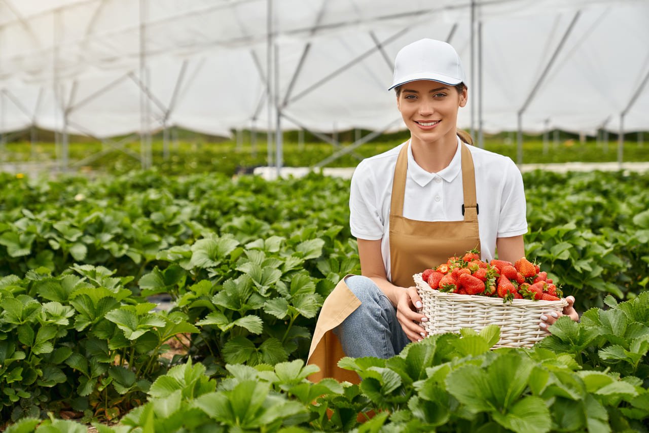 LawnPro – Gardening & Landscaping Divi Child Theme Image 39 LawnPro – Gardening & Landscaping Divi Child Theme Image 39