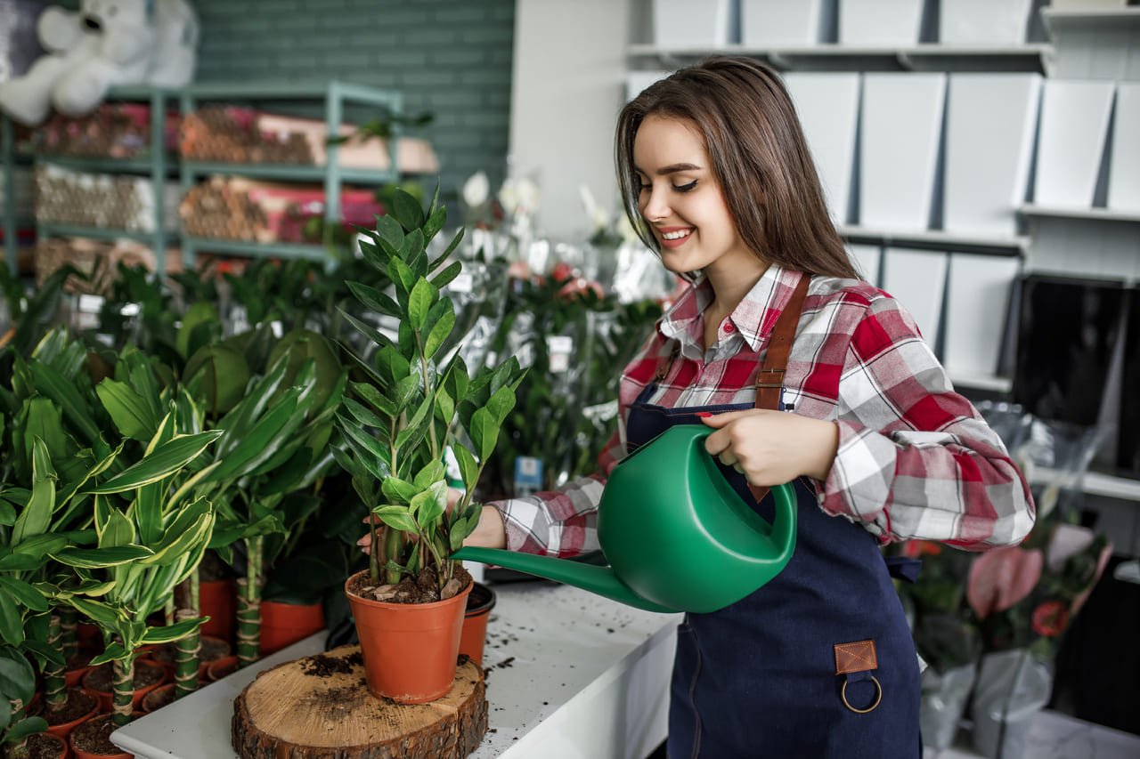 LawnPro – Gardening & Landscaping Divi Child Theme Image 7 LawnPro – Gardening & Landscaping Divi Child Theme Image 7